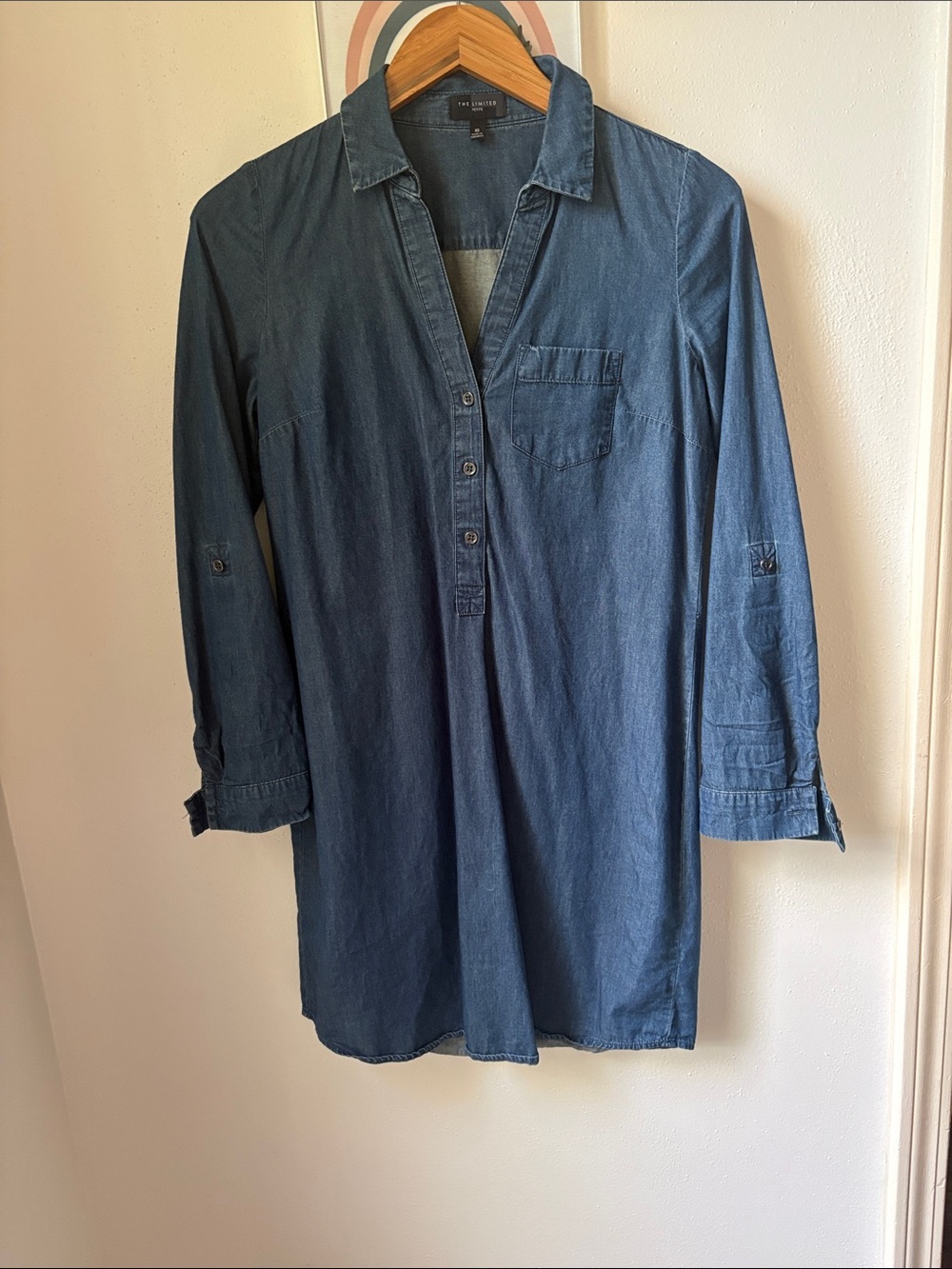 The Limited Indigo Denim Mini Dress